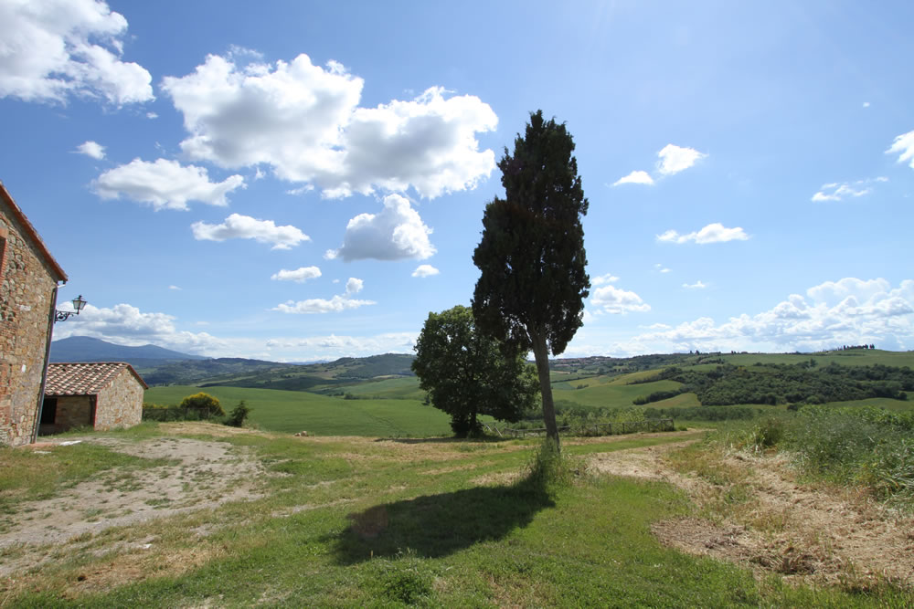 Detail of Tuscan Countryside 4